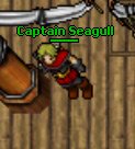 Captain Seagull.jpg