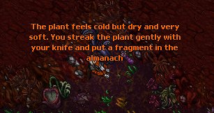 An Interest In Botany Quest-Dreadcoil2.png