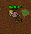 Hamilton.jpg