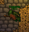 Tamerin.jpg