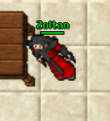 Zoltan.jpg