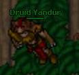 Plik:Druid Yandur.jpg