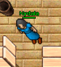 Nydala.jpg