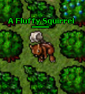 A Fluffy Squirrel.jpg