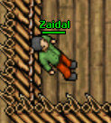 Zaidal.jpg