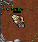 Melfar.jpg