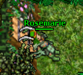 Rosemarie.png