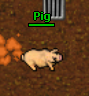 Pig.png