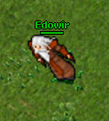 Edowir.jpg