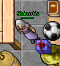 Shiantis.jpg