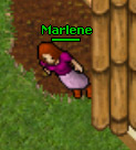 Marlene.jpg