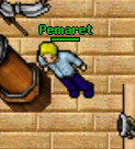 Pemaret.jpg