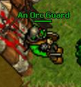 Orc Guard.png