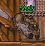 Samir.png