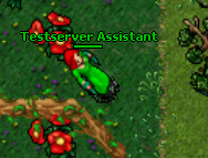 Testserver Assistant.png