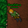 Bashira.png