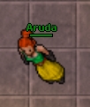 Aruda.jpg