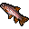 Rainbow Trout.gif