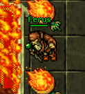 Ferus.png