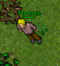 Torence.jpg