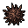 Thorn Seed.gif