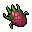 Dragonfruit.PNG