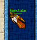 Spectulus.jpg