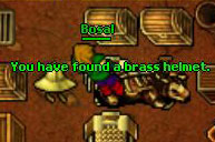 Bear quest 4.jpg