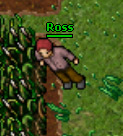 Ross.jpg