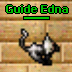 Guide Edna.png