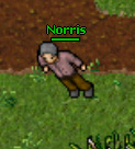 Norris.jpg