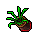 Roslina2d.gif