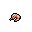 Shrimp.gif