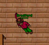 Bradford.PNG