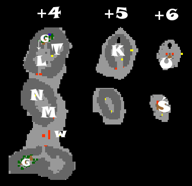 Obozowisko Plemienia w Górach Zao-Mapa.png