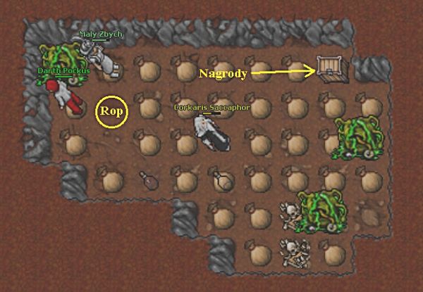 Life Ring Quest/Spoiler – Tibia Wiki