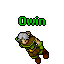 Plik:Owin (NPC).gif