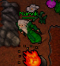 Marvik.jpg