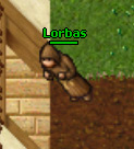 Lorbas.jpg