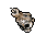 Skull Candle.gif