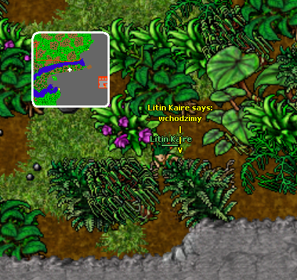 Waterfall Quest - Tibia Wiki