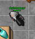 Ashtamor.jpg