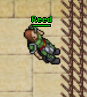 Reed.jpg