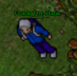 Frank The Plank.png