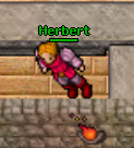 Herbert.jpg