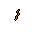 Worm.gif