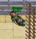 Bruce.jpg