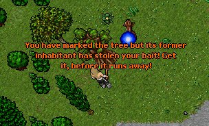 Plik:The New Frontier Quest-From Kazordoon with Love-Drzewo1.gif