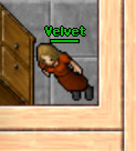 Velvet.jpg