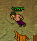 Zebron.jpg